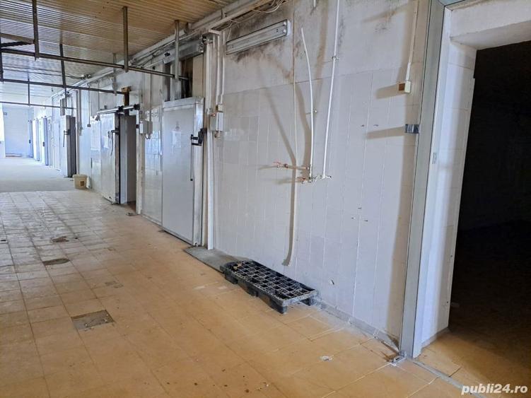 Proprietar inchiriez Abator cu 6400 mp teren intravilan,3000 mp curte betonata+ 1200 mp Frigo - 4