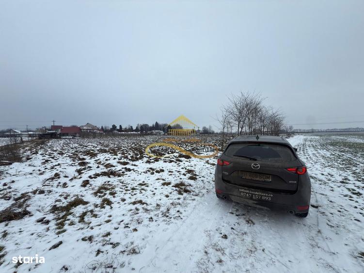 Teren agricol extravilan in Itesti de vanzare - 5