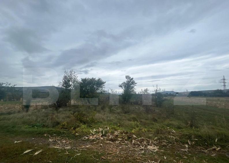 Teren extravilan, 3700mp, zona Unirea - 1