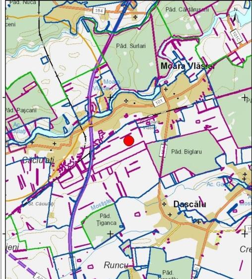 Teren de vanzare in Moara Vlasiei - 7170 mp - aproape de Padurea Biglaru - 7