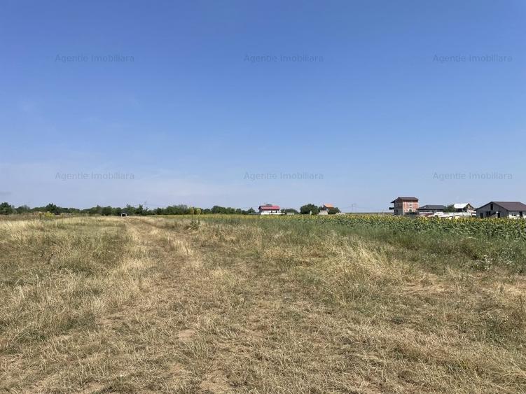 Teren Postavari - Frumusani - 1956 mp - 4