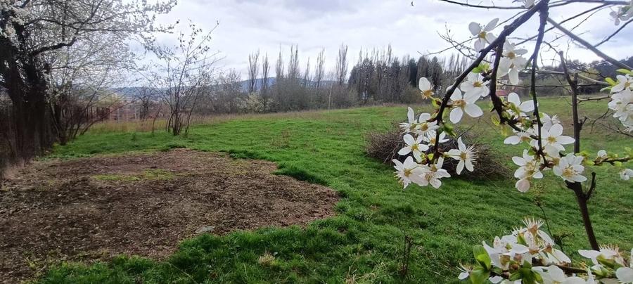 Teren in zona pitoreasca , usor accesibila , cu utilitati si panorama deosebita - 7