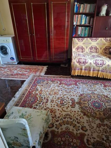 Casă de vânzare în Dunăreni, com. Aliman – Gospodărie completă, mobilată  - 9