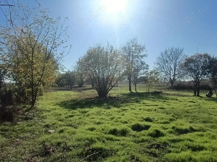 Oaza de liniste: Proprietate generoasa cu poten?ial de Investi?ie Locuin?a - 10