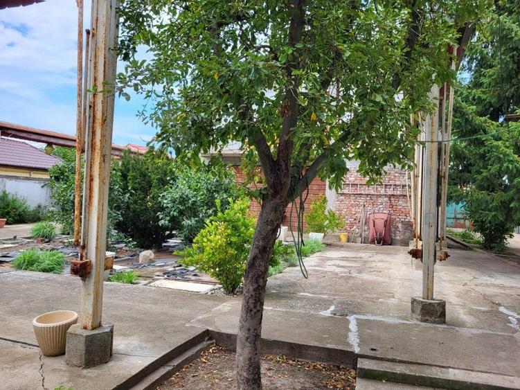 VANZARE  PROPRIETATE CIOFLICENI /TEREN GENEROS/POTENTIAL RIDICAT - 9