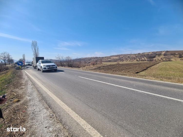 Teren extravilan 4000 mp. , Magiresti-Bacau - 3