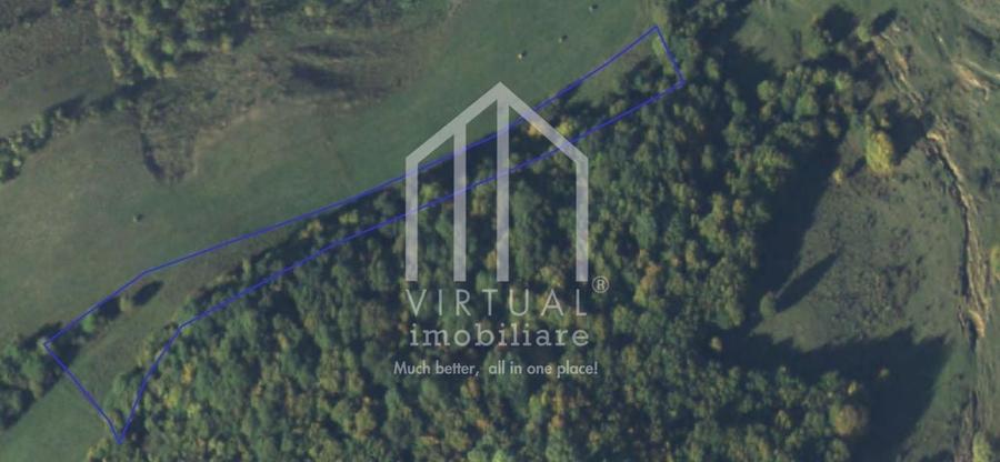 Teren extravilan de vanzare 15,600 mp zona loc... Hamba - 1