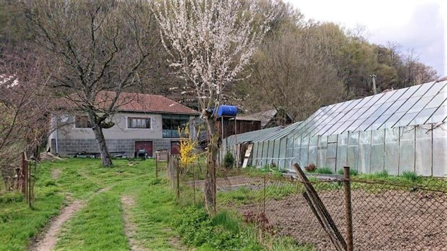 Casa si 3919 mp teren intravilan  in  Bucuresci, jud. Hunedoara - 1