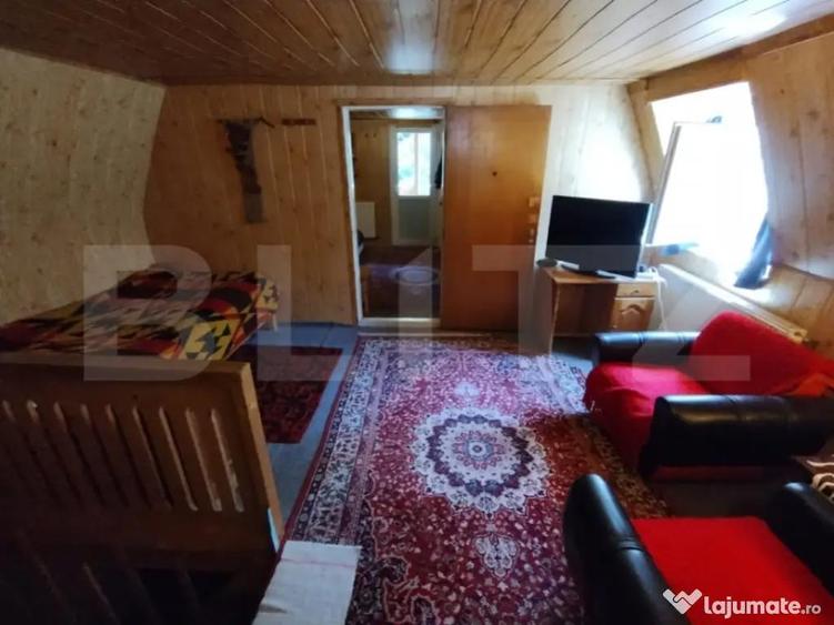 Cabana 4 camere Lunca Bradului - 5