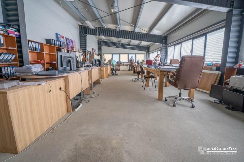 Hale in parcul Tetarom I - 8