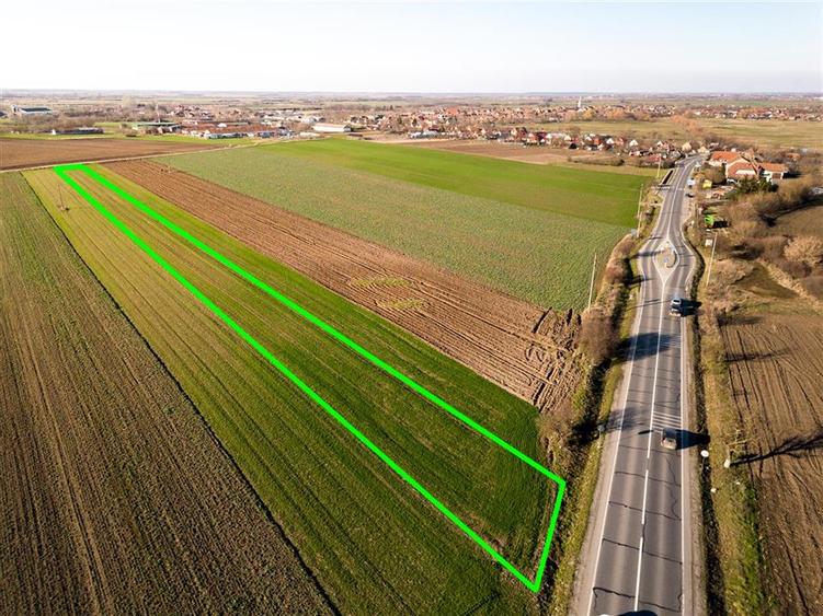 RECO teren 5000mp cu deschidere la DN19 Tamaseu - 2