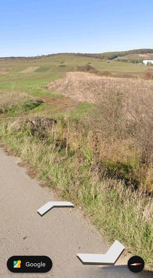 Teren agricol 60 arii in Tarpiu.acces asfalt.(Cepari.Dumitra.Mintiu) - 3