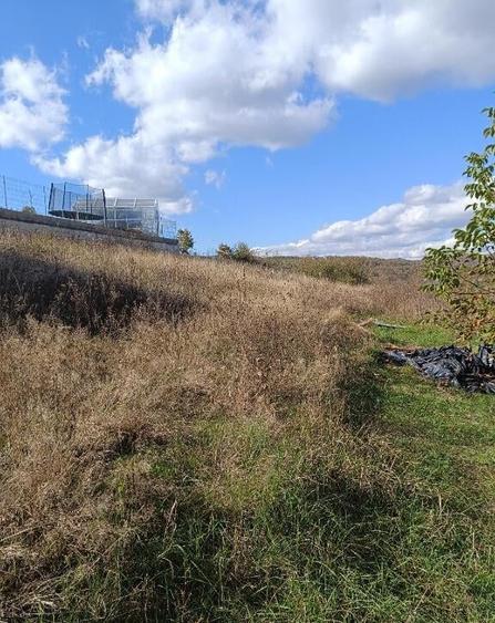 Teren 1000 mp intravilan, Zona Tarpiului - 1