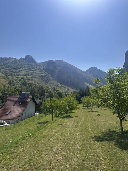 Teren de vanzare zona Valisoara Jud Alba - 3