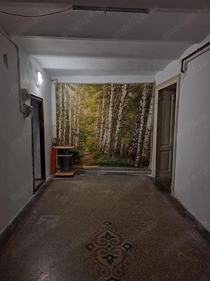 apartament 2 camere Cismigiu - 5