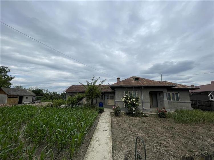 Vânzare Teren intravilan 1700mp  50km de Bucuresti Cosereni Ialomita - 1