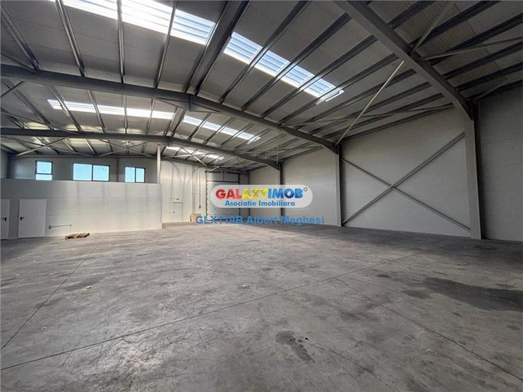 Inchiriere hala depozitare Parc Industrial TBM Rudeni - 1