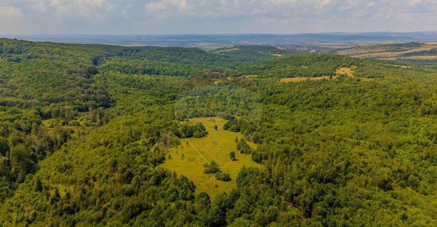 COMISION 0% Teren Grid/Inima Naturii/ Oportunitate de inv... - 14