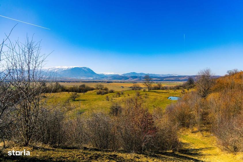 Teren 6 Hectare cu PUZ pentru Resort Turistic panorma Muntii Piatra Cr - 8
