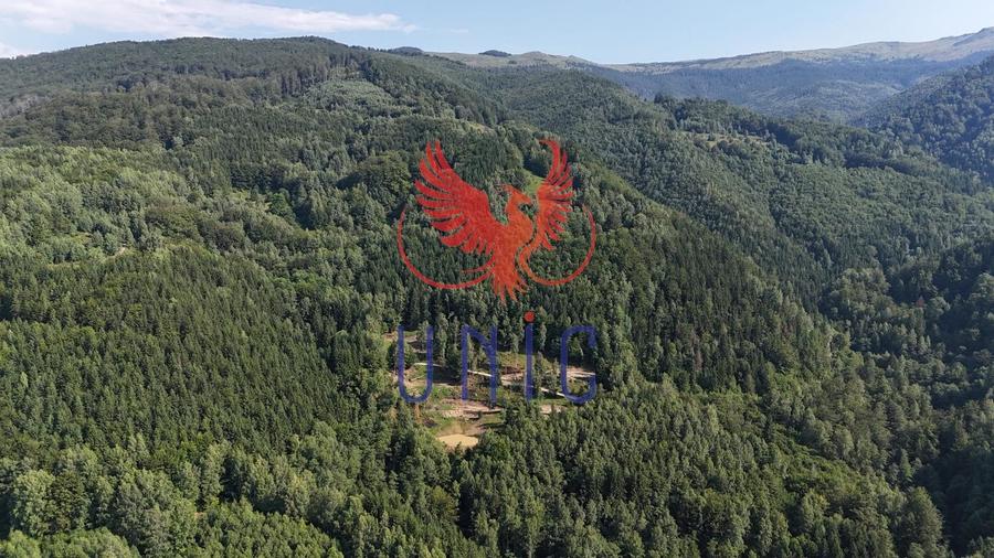 18000 mp de natura pura ,Lupeni, langa Straja - 20
