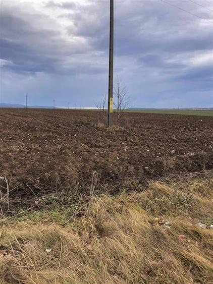 Teren pentru business 6300 MP Bucium la strada principala - 1