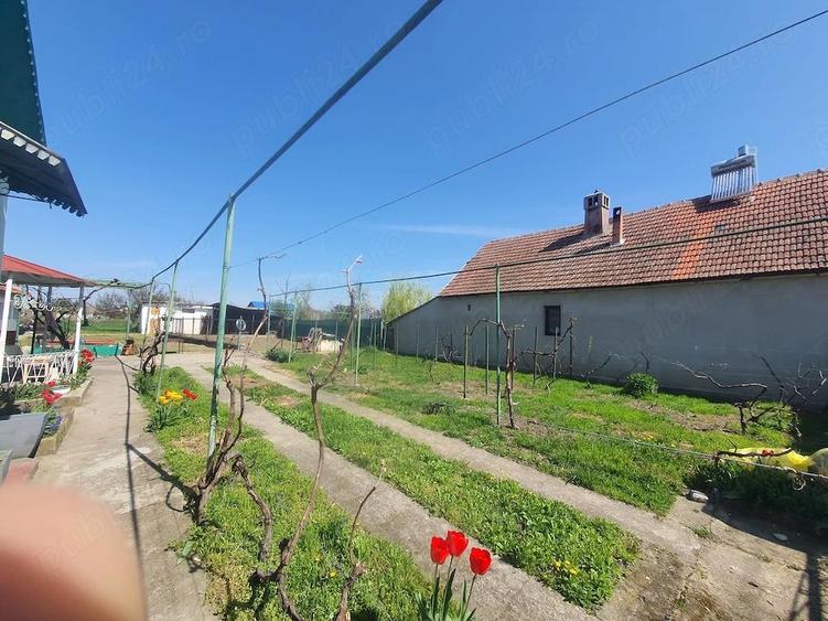 Vand casa Giulvaz strada principala - 1