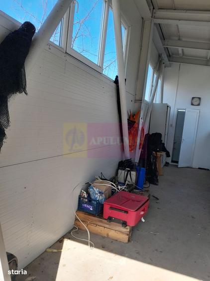 Vanzare Teren 3100 Mp - Sat Rosiori (Il) - 4