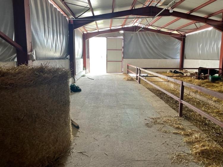 Ferma moderna  de vanzare – judetul Arges - 8