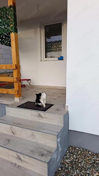 Casa noua la cheie 6km de Bistri?a - 9