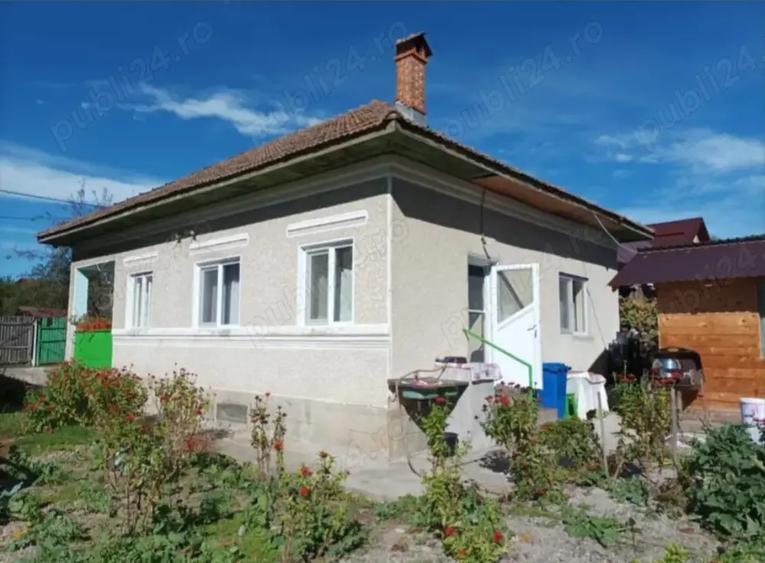 Casa Pausesti Madlasi - 4