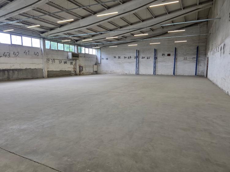 Hala Bartolomeu Brintex - 1