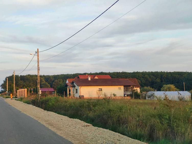 TerenURI COMISION *0* pt.parcelare & industrial centura & extravilan pe Alparea si Cheriu - 4