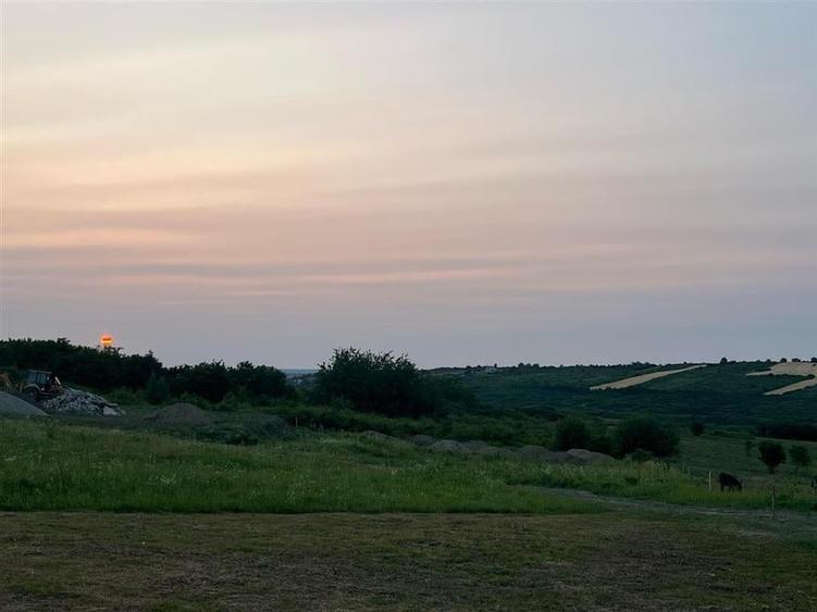 RECO Teren in Paleu 903 mp, acces rapid din Saldabagiu de Munte - 2