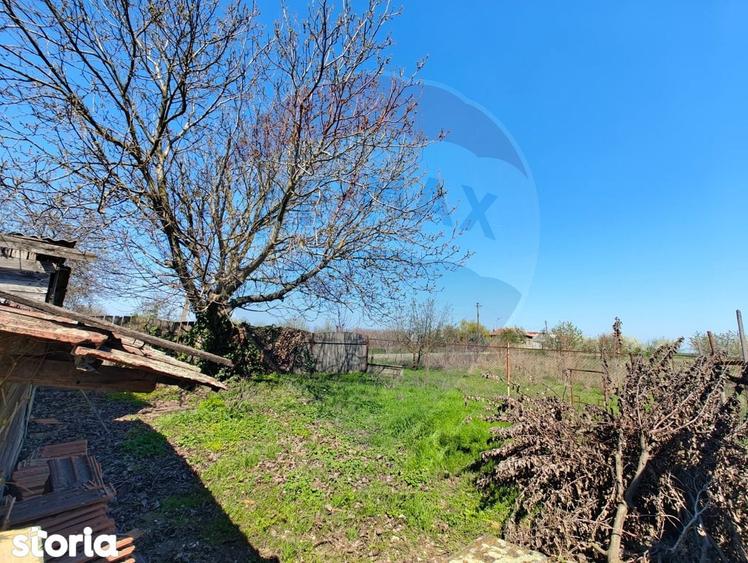 Casa de vanzare cu teren de 2175 mp,anexe si livada generoasa | Mailat - 13