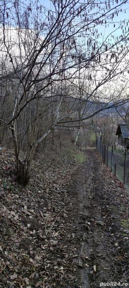 Teren Intravilan - Calimanesti - 524 mp - 2