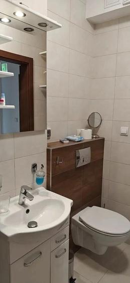 Garsoniera de inchiriat in zona Dristor - 5