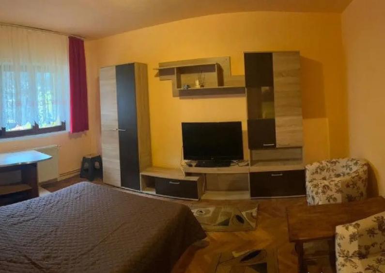 Inchiriez apartament 1 camera Calea Martirilor - 3