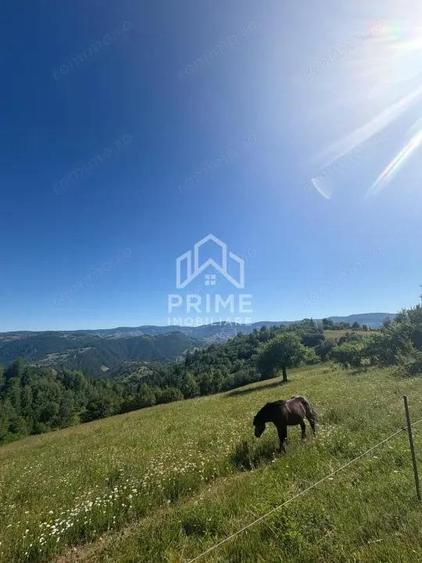 Teren intravilan de vanzare 11.136 mp | ALBAC | CU POSIBILITATE DE PARCELARE | - 1