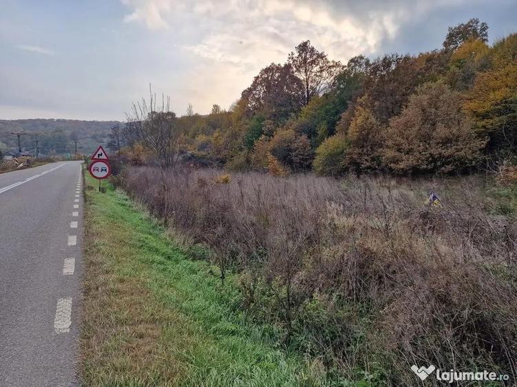 Teren 1,717mp Margineni / Strada Sat podis - 5