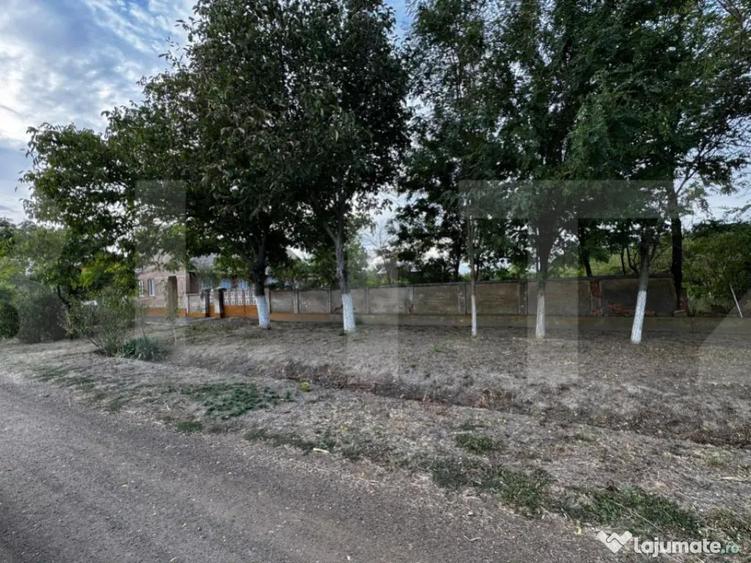 Casa 4 camere cu teren de 3892 mp - 10