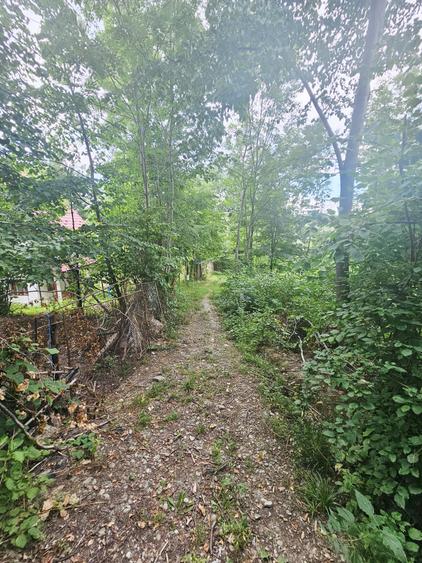 Teren intravilan de vânzare – 2.190 mp – Podu Vadului, Breaza - 8