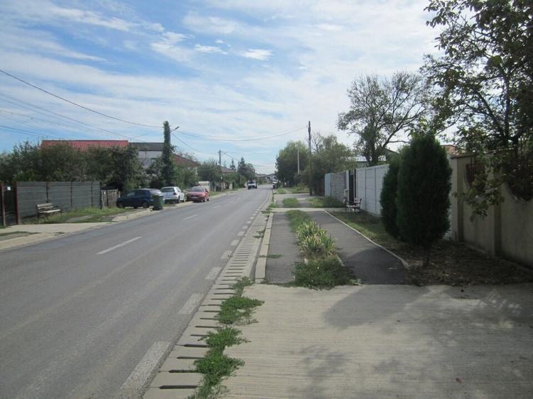 Domnesti Ciutaci-Zorelelor - 12