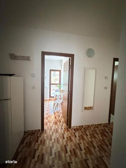 Garsoniera decomandata, 42 mp, zona Brestiei-Promenada, - 11