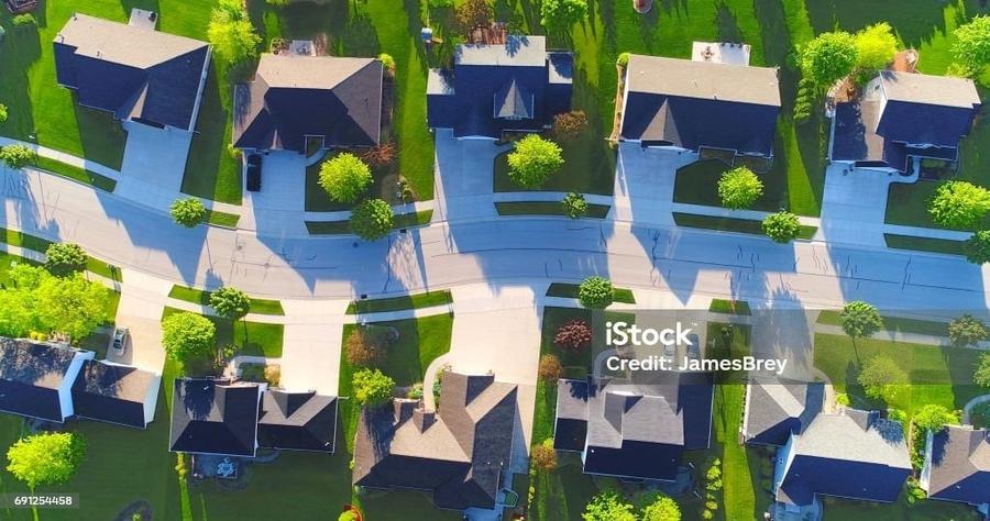 Teren pentru dezvoltare cartier vile – Corbeanca - 8