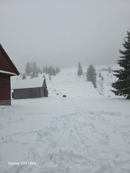 Teren Lunca Visagului - 3