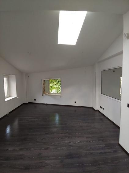 Zona Eminescu Dacia S+P+1+M  290 mp utili zona de birouri - 3