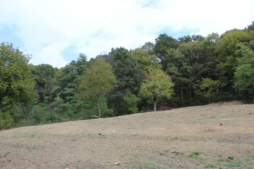 Casa si teren 5.000 mp, Stroesti - 8