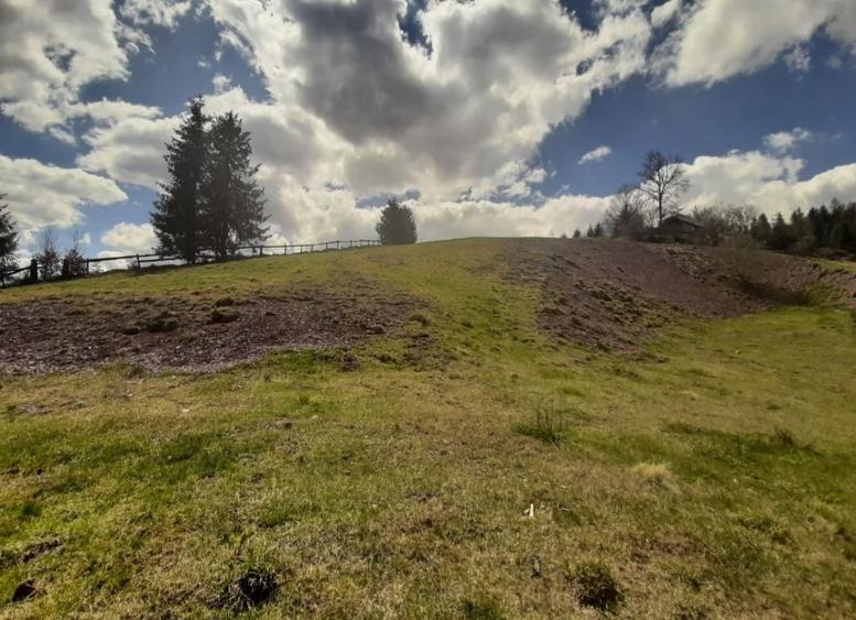 Teren de vânzare intravilan în Arieșeni (Alba) - 11