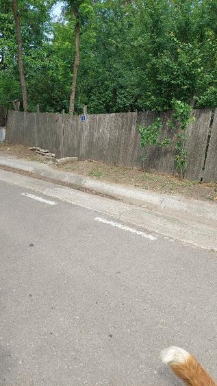 Vand casa cu teren - 8