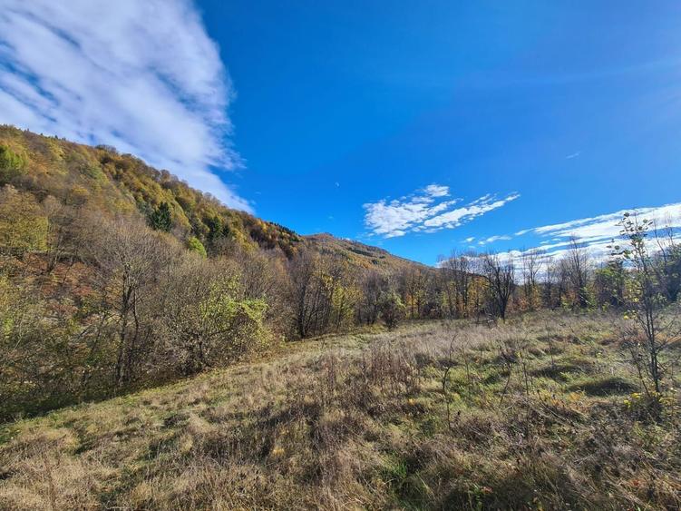 Vand teren Valea Doftanei in coada lacului Paltinu - 11